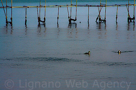 La mer à Jesolo ville photo